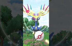 【ポケモンGO】ゼルネアスゲッチャレ #ポケモン #xerneas  #ショート #伝説  #pokemongo #shorts #ゼルネアス