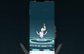 ポケモンGO　アシマリのあめ　2000個　疲れました