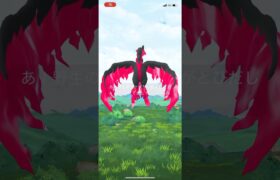 【ポケモンGO】ガラル3鳥　ファイヤー