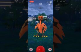 【ポケモンGO】今度はGサンダー！！今度こそ捕獲なるか！？#ポケモン #ポケモンgo #pokemon #pokemongo #pvp #gbl #shortvideo #shorts