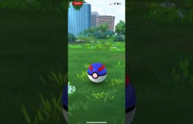 【ポケモンGO】アシマリの色違いGET