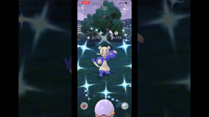 【ポケモンGO】色違いコジョフー！色違いコジョンド！！【Shiny Pokémon】