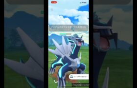 【ポケモンGO】ハイパーリーグ　ディアルガVS