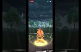 【ポケモンGO】スーパーリーグ　ズルズキンVS