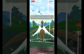 【ポケモンGO】スーパーリーグ　色違いVS