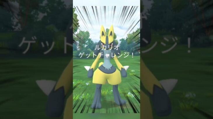 【ポケモンGO】まさかの一回目でルカリオの色違い?!運使い果たしたか？#ポケモンgo