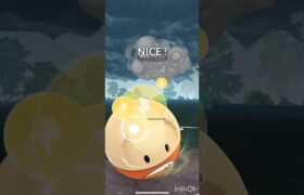 [ポケモンGO]ヒスイマルマインの使い方　#ポケモンgo対戦 #ポケモンgo