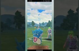 【ポケモンGO】現段階最強パーティで挑む#ポケモンgo #ポケgo