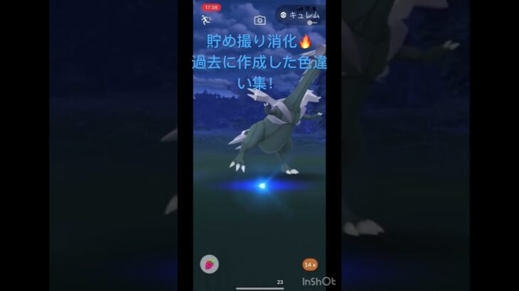 【ポケモンGO】貯め撮り消化🔥過去に作成した色違い集の切り抜き✨#ポケモンgo色違い #ポケモン #ポケモンgo #ポケgo #short #shorts #pokemongo #pokemon