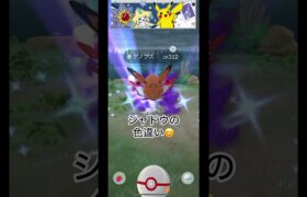 『ポケモンGO』近況報告#ポケモンgo #pokemon #pokemongo #pokemoncards #pokemoncommunity #goバトルリーグ #色違いポケモン #レイドバトル