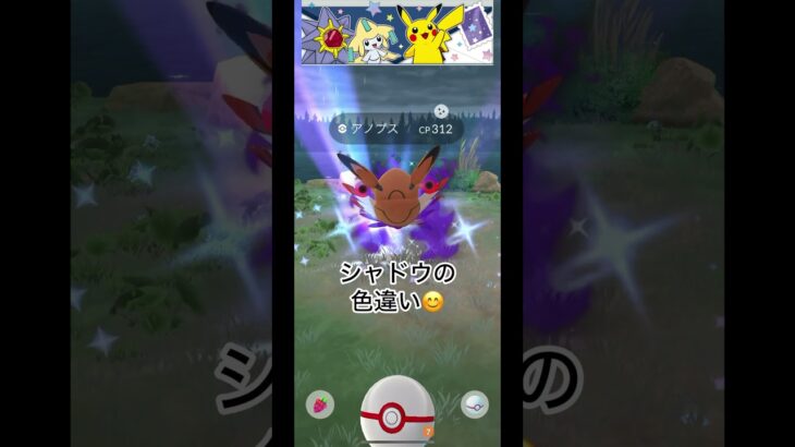 『ポケモンGO』近況報告#ポケモンgo #pokemon #pokemongo #pokemoncards #pokemoncommunity #goバトルリーグ #色違いポケモン #レイドバトル