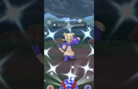 【ポケモンGO】色違いのきらりんエフェクトに人生を狂わされた漢#ポケモンgo #shorts #色違いポケモン #あなただけ見つめてる