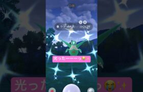 【ポケモンGO】メガラティオス&メガラティアスで高個体&色違いチャレンジ！#nintendo #pokemon #pokemongo #ポケモンgo #色違い #レイド #ラティオス#ジャカルタ