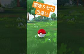 [ポケモンGO]最近のコミュニティディの中で最速では　#pokemon #ポケモンgo #コミュニティデイ #アシマリ#色違い