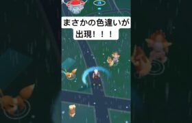 『ポケモンGO』あの色違いが出現！！#pokemon #pokemongo #ポケモン #ポケモンgo #ゲーム #ゲーム実況 #shorts #short #ハイパーリーグ