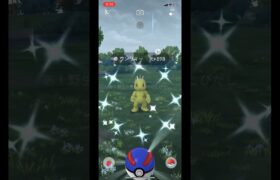 ポケモンGOで色違いワンリキーをゲット！#pokemongo #pokemon #machop #shiny #ポケモンGO #ポケモン #ワンリキー #色違い