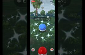 ポケモンGOで色違いビリリダマをゲット！#pokemongo #pokemon #voltorb #shiny #ポケモンGO #ポケモン #ビリリダマ #色違い