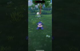 【ポケモンGO】色違いアシマリ！コミュニティデイ　#shorts