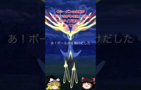 【ポケモンGO】ゼルネアスが伝説レイドにやってきた‼#shorts