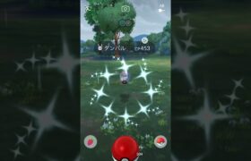 【ポケモンGO】ダンバルの復刻コミデイ！ダンバル→メタグロス！#shorts #pokemongo #ポケモンgo