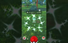 【ポケモンGO】カリキリの色違い降臨！カリキリ→ラランテス！#shorts #pokemongo #ポケモンgo色違い #ポケモンgo