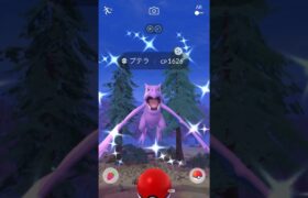 【ポケモンGO】早朝にまさかの〇〇の色違い降臨！#shorts #pokemongo #ポケモンgo色違い #ポケモンgo