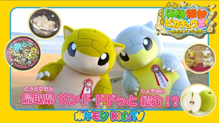 【ポケモン公式】体験探検ピカチュウ部〜鳥取県サンド部編〜－ポケモン Kids TV