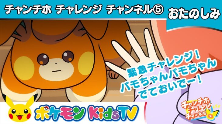 【ポケモン公式】緊急チャレンジ！パモちゃんパモちゃんでておいでー！【チャンチホチャレンジチャンネル】－ポケモン Kids TV