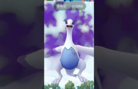 翻滾吧！暗影洛奇亞 #Lugia #ShadowLugia #pokémongo #ポケモンgo