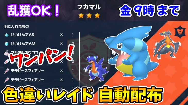 乱獲OK！フカマル色違いレイド自動配布会！【ポケモンSV】