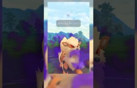 【PokemonGO】シャドウパーティ34 スーパーリーグ ポケモンGO