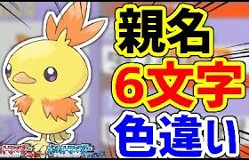 【ポケモンRSE】文字制限を無視して改造まがいのポケモンを捕まえよう！！！