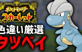 【ポケモンSV】普段じゃゲットすらできない『限定タツベイ』厳選する！