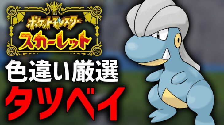 【ポケモンSV】普段じゃゲットすらできない『限定タツベイ』厳選する！