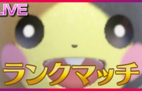 僕の中で今最も話題の襷枠、モルペコ参戦！【ポケモンSV】