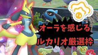 【ポケモンSV】イベント来たし最高のルカリオを捕まえる枠