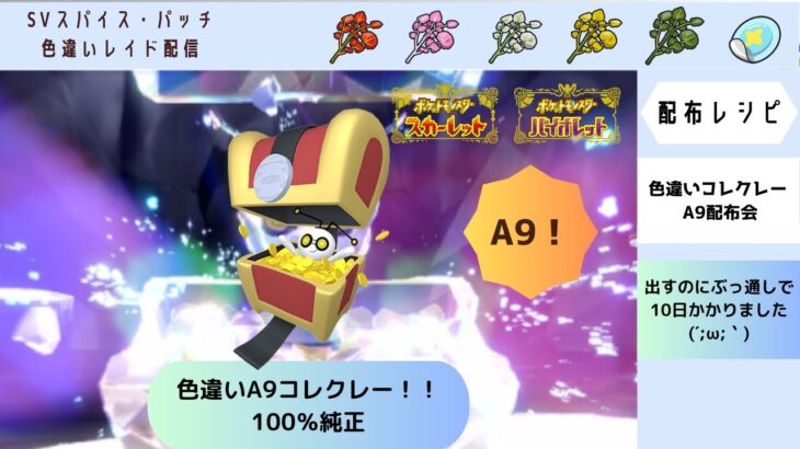 【ポケモンSV】色違いA9コレクレー配布　10日かかってやっとでた！！！100％純正！！【自動レイド　参加自由】