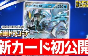 【初公開】ドラゴンポケモンに超有利！？ブラックキュレムexが登場！【楽園ドラゴーナ/ポケモンカード】