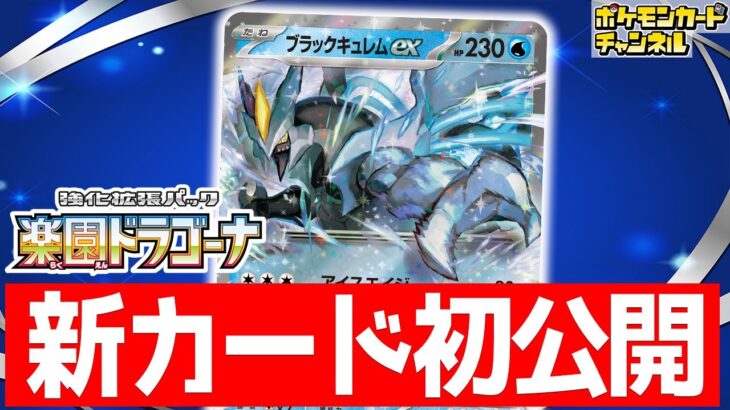 【初公開】ドラゴンポケモンに超有利！？ブラックキュレムexが登場！【楽園ドラゴーナ/ポケモンカード】