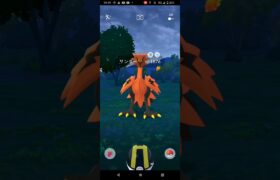 ガラルサンダーに遭遇#ポケモンgo #ポケモン