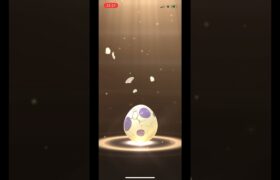 ポケモンgo 10キロタマゴガチャ 4連ガチャ　#pokemongo #egg