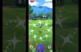 ポケモンgo 野生の色違いダンバルゲットチャレンジ　2024復刻コミュニティデイ　#pokemongo #shiny