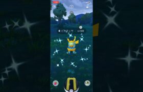 #ポケモンgo #ピカチュウ #Pikachu #WCS2024                   ㊗️WCS2024開催！色違いピカチュウ！