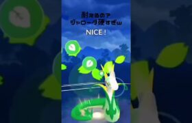 何かが違う　　　#ポケモンgo #ポケgo #gbl #ポケモン #shuchan