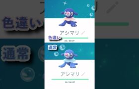 【コミュニティデイ】アシマリ色違い！#ポケモン #ポケモンgo #ポケgo #色違い #コミュニティデイ #pop #kpop