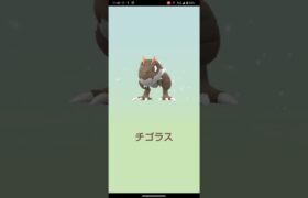 アーケンの色違い狙ってみた！#ポケモン #ポケモンgo #pokemon #pokemongo #shorts