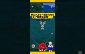 レア個体値遭遇！野生ホルビー捕まえた結果！#ポケモンgo#ホルビー#野生 #個体値 #pokemongo #新道ひかり