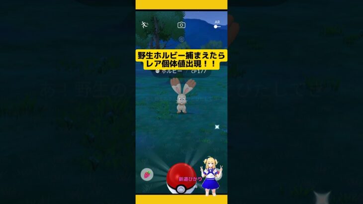 レア個体値遭遇！野生ホルビー捕まえた結果！#ポケモンgo#ホルビー#野生 #個体値 #pokemongo #新道ひかり