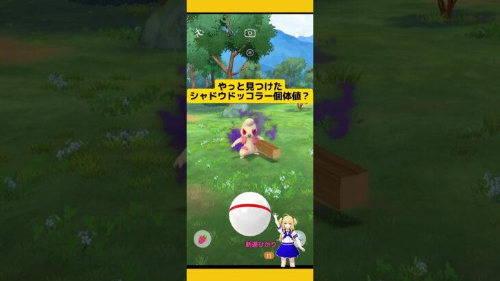 シャドウドッコラー発見!!やっと見つけた個体値は?#ポケモンgo #シャドウポケモン #ドッコラー#ロケット団 #pokemongo #新道ひかり