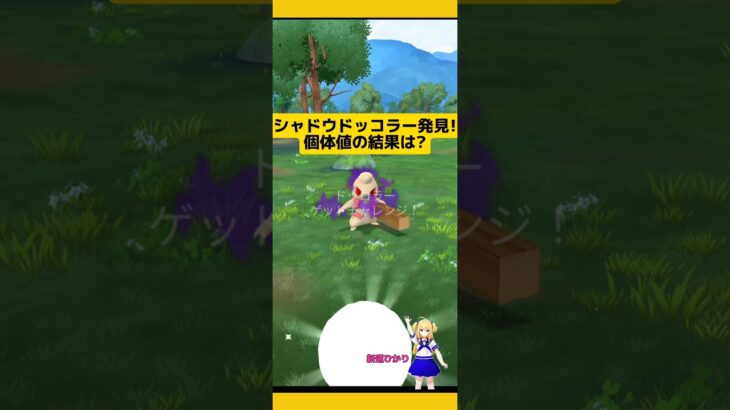 シャドウドッコラー再び！個体値の結果は?#ポケモンgo #シャドウポケモン #ドッコラー #ロケット団 #シャドウドッコラー #pokemongo #新道ひかり